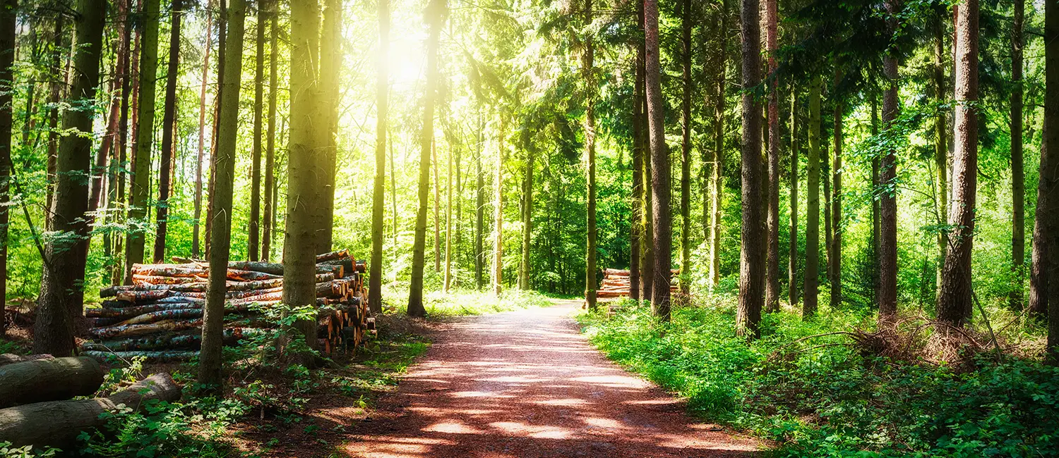 Psychotherapie München bei Angst- und Zwangsstörungen